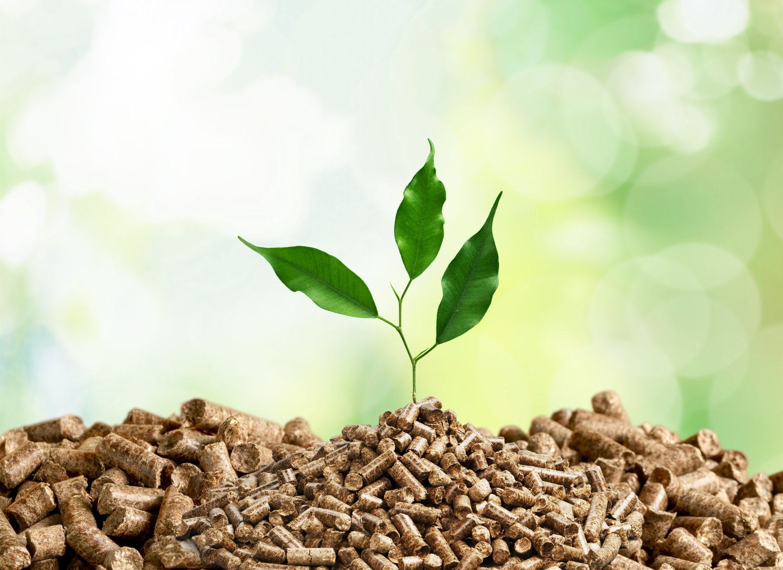 Bio Pellets Manufacturing Equipment